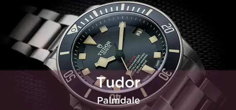 Tudor Palmdale